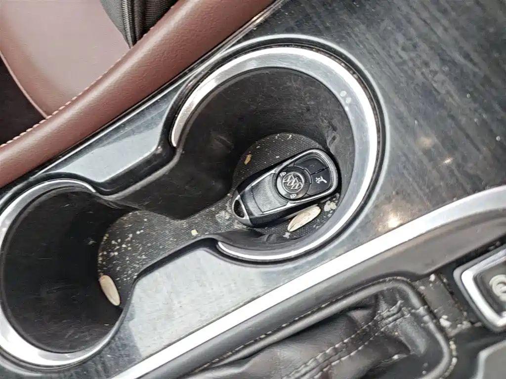 Buick Envision Plus 2018 28T 4WD Elite фото 9