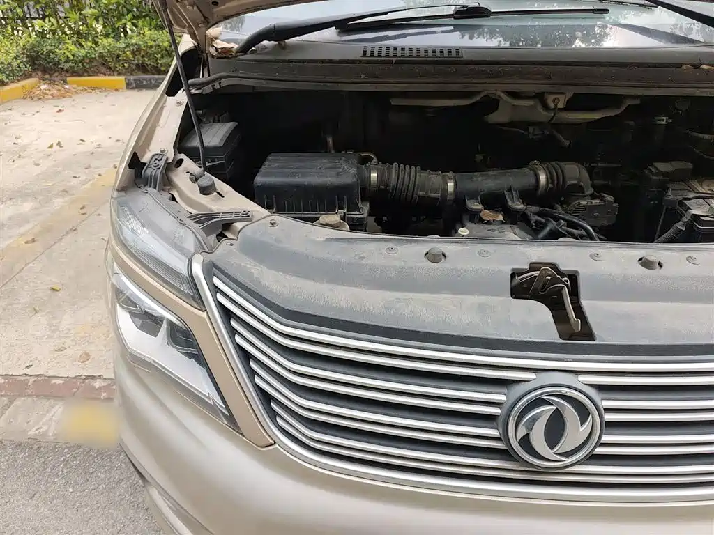 Фото 20 - Dongfeng Fengxing Lingzhi