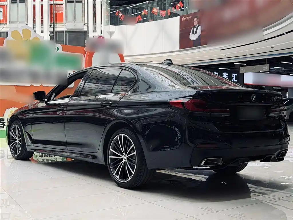 BMW 5 Series 2020 Model 530Li Executive M Sport Package фото 8