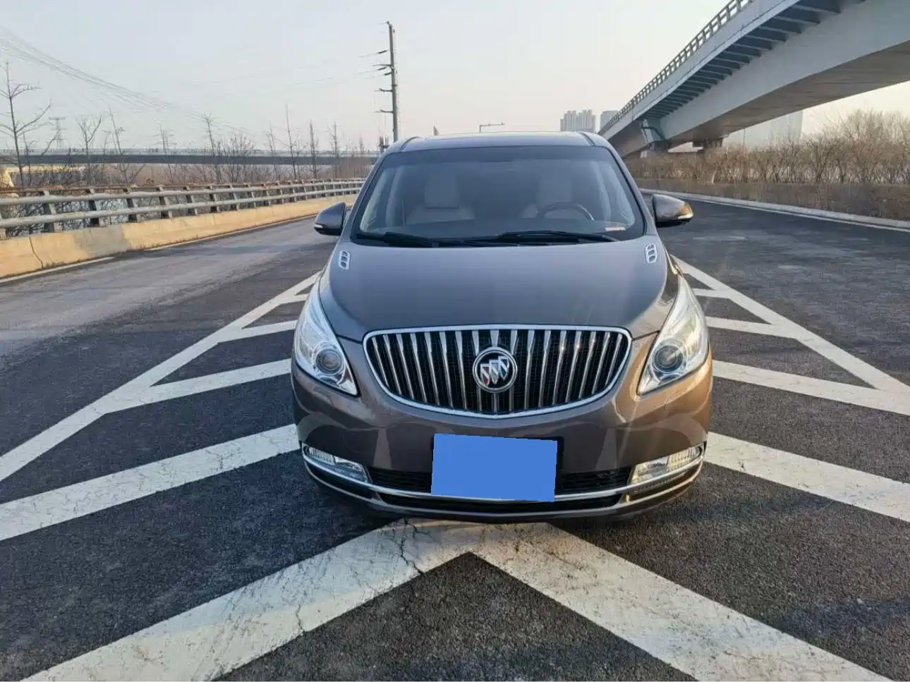 Buick GL8 2014 2.4L LT Luxury Business Executive фото 2