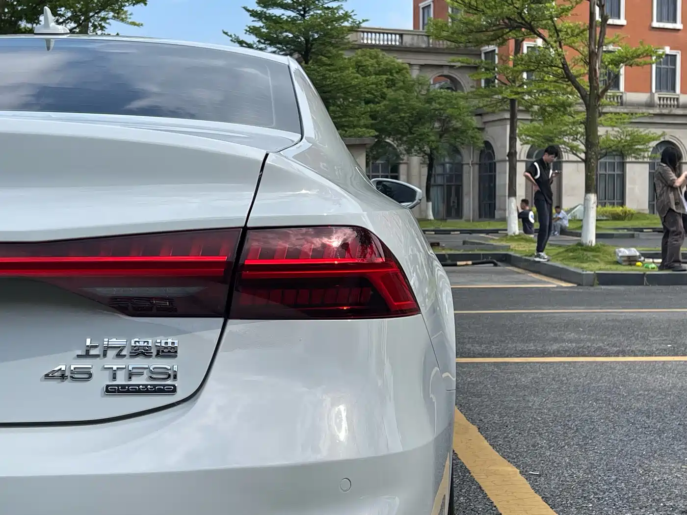 Audi A7L 2022 45 TFSI quattro S-line Paladin фото 10