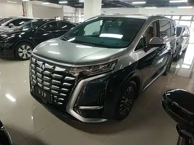 Denza D9