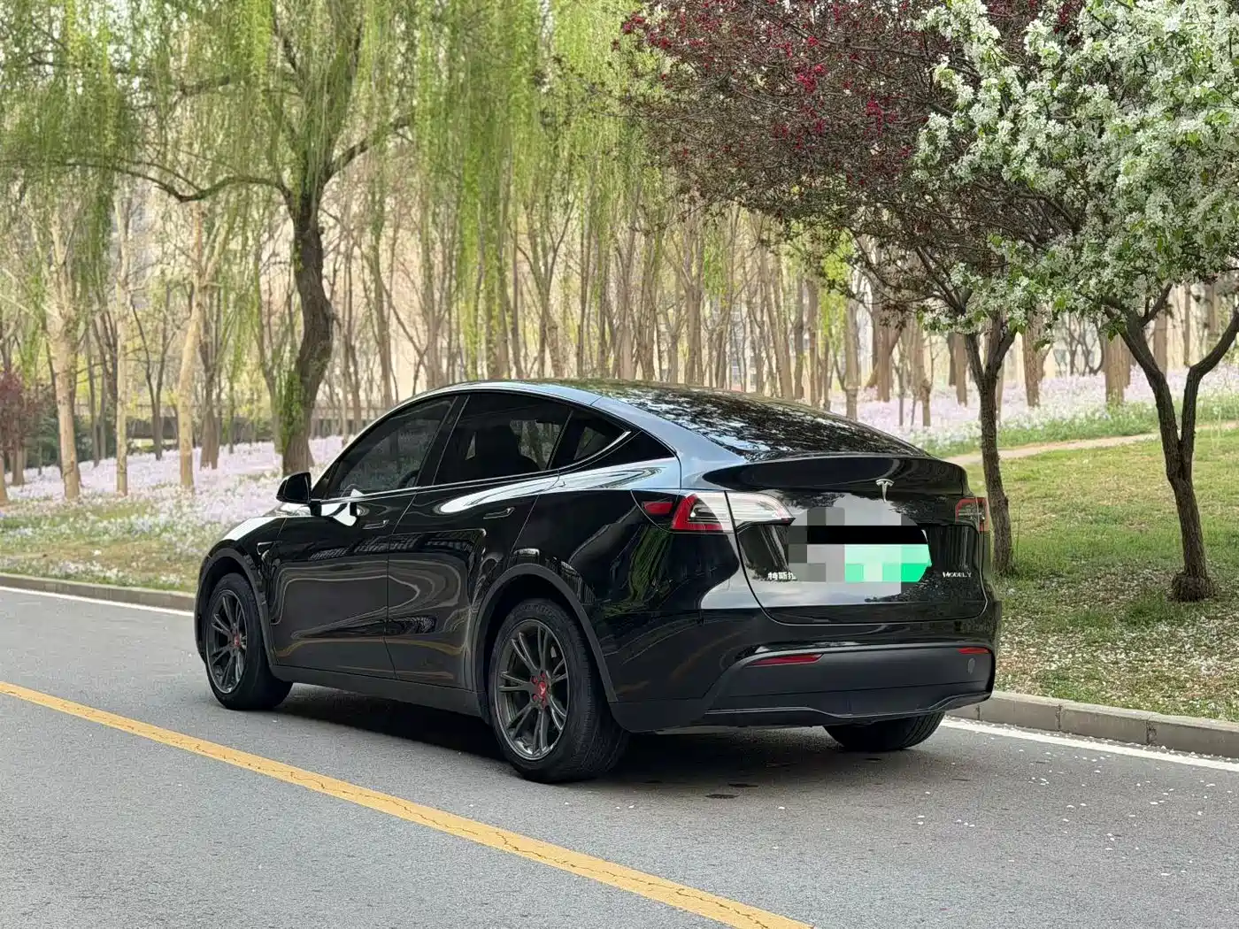 TESLA MODEL Y