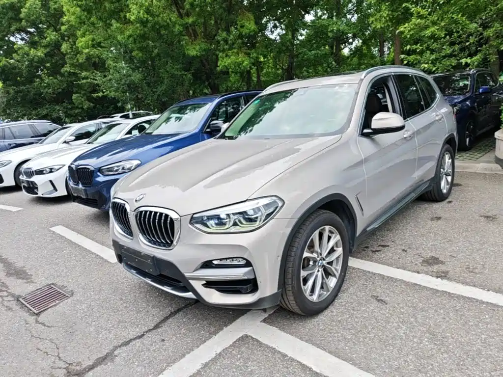 BMW X3 2018 2018 xDrive25i Luxury Package China V