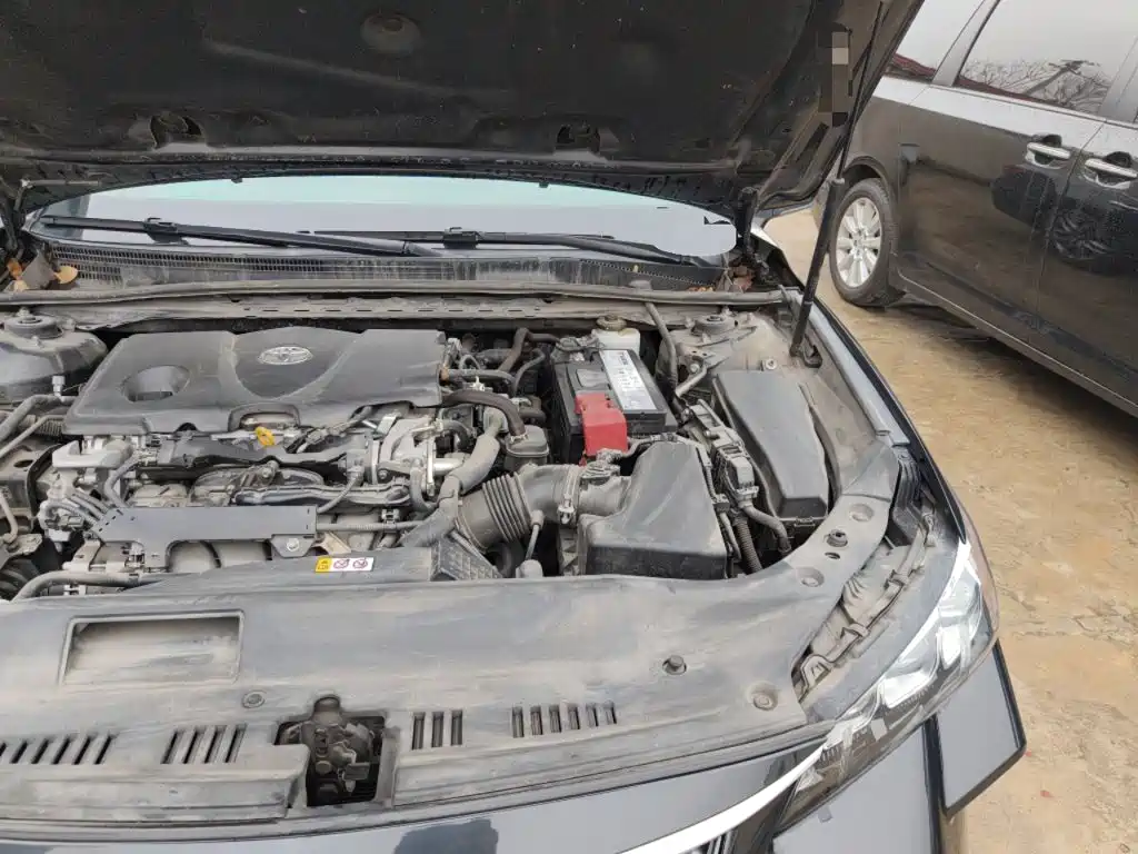 Фото 22 - Toyota Avalon