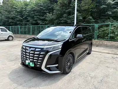 Denza D9