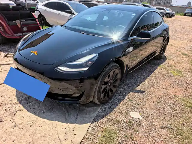 Tesla Model 3 2019 Standard Range Rear-Wheel Drive Upgrade