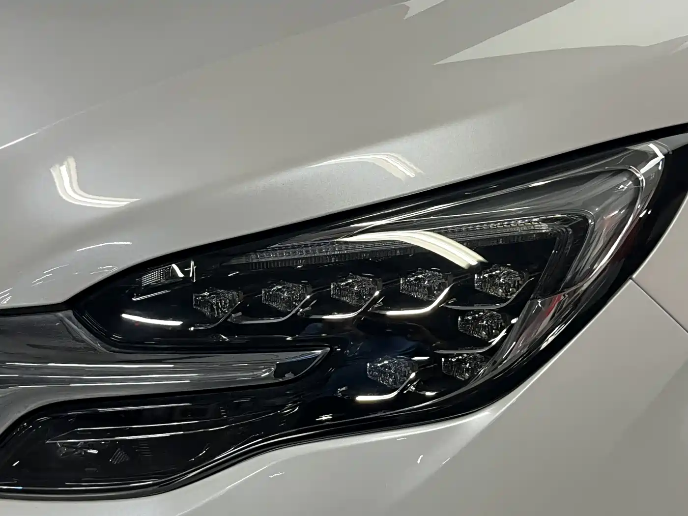 Buick GL8 2021 ES Landlord 653T Premium фото 25
