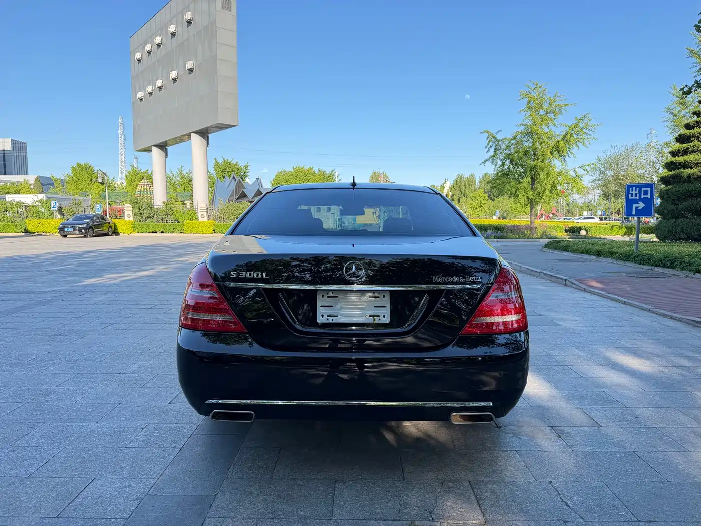 Mercedes-Benz S-Class 2010 S 300 L Premium фото 6