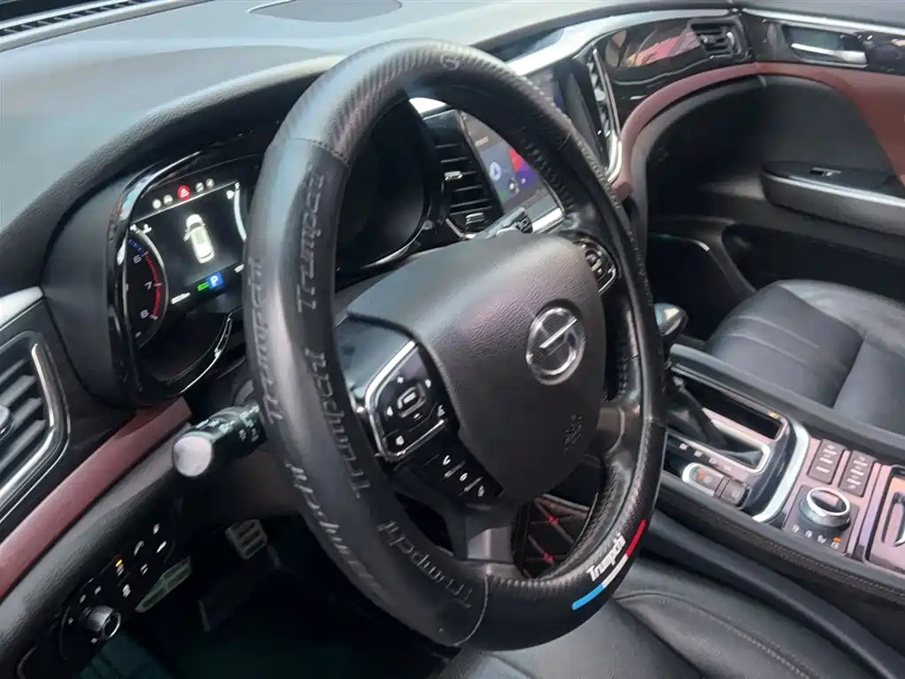 GAC Trumpchi Trumpchi GS8 2017 320T AWD Luxury Smart Connect (7-Seater) фото 15