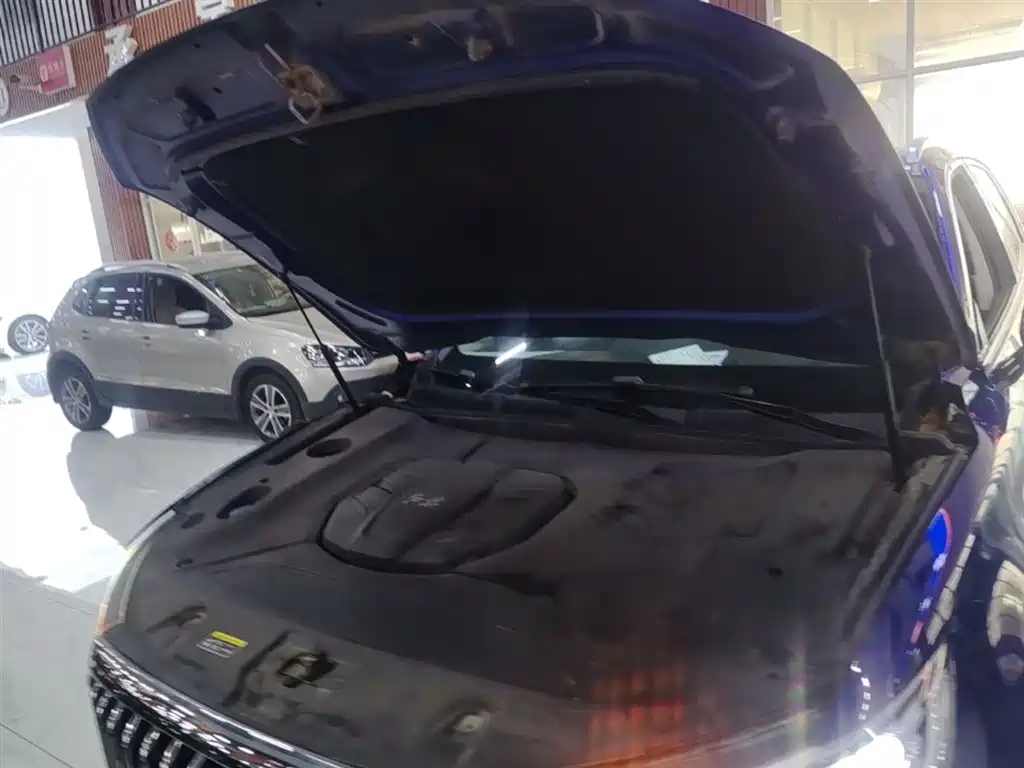 Hongqi HS5 2019 2.0T Smart Connect Enjoy 4WD Edition фото 20