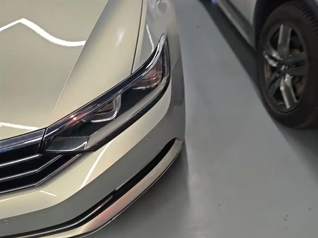Volkswagen Magotan 2018 330TSI DSG Luxury фото 24