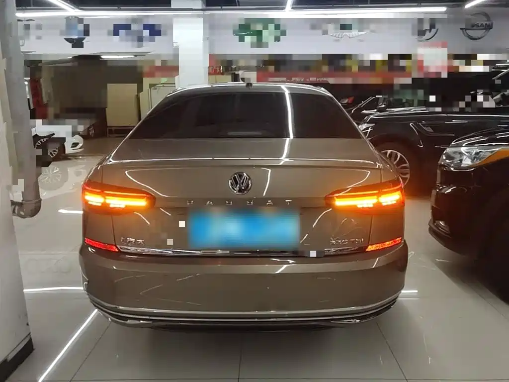 Volkswagen Passat 2019 330TSI Leading Premium Edition China V фото 6