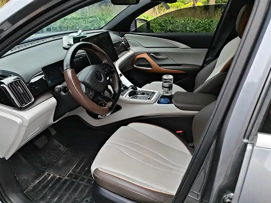 BYD Song Pro New Energy 2023 Champion Edition DM-i 110KM Excellence фото 9