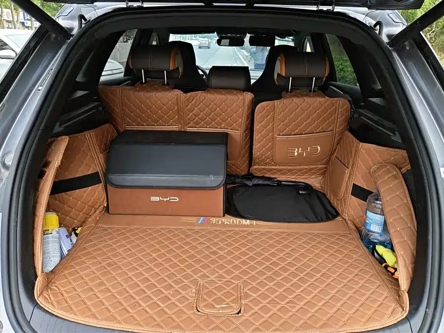 BYD Song Pro New Energy 2023 Champion Edition DM-i 110KM Excellence фото 4