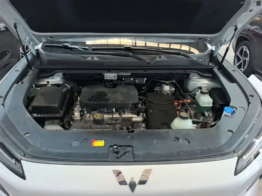 Wuling Motors Wuling Xingguang S 2025 2024 130km Flagship Model