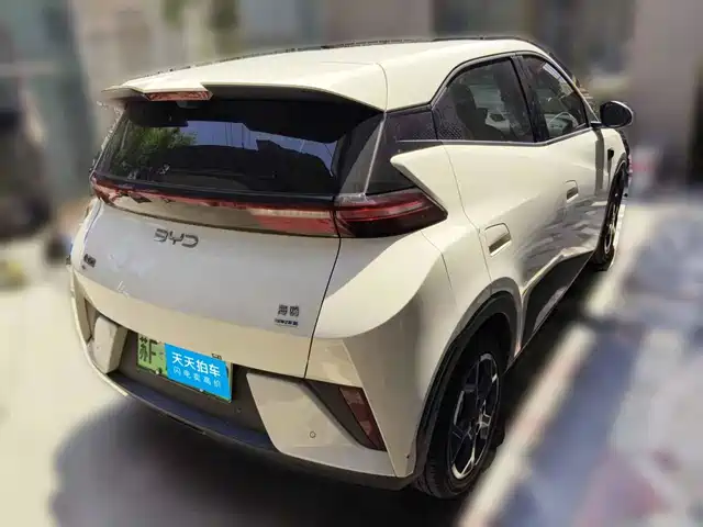 BYD Seagull 2025 Smart Drive Edition 305km Freedom Version — фото 2