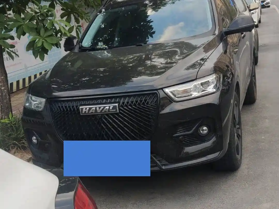 Haval H6 2021 2.0GDIT Automatic GT Luxury Edition фото 2