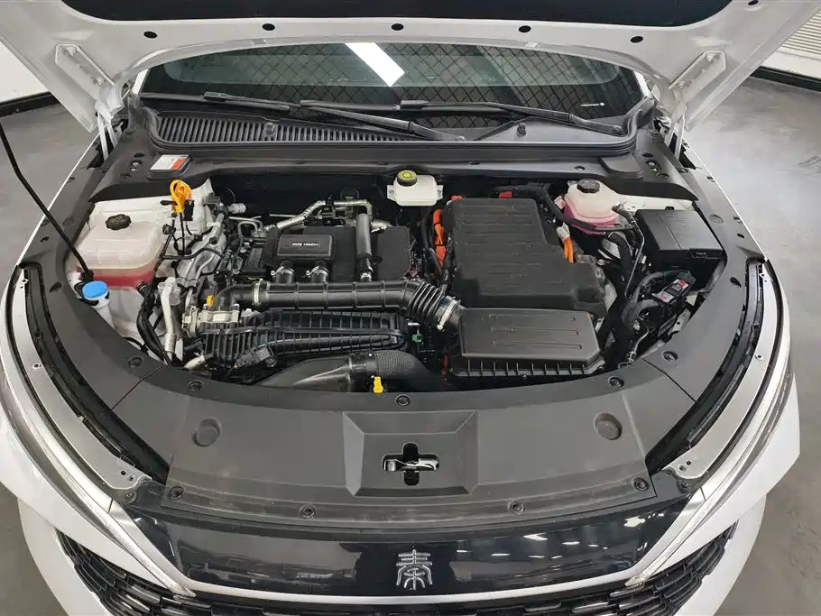 BYD Qin L 2024 DM-i 80KM Leading Edition фото 10