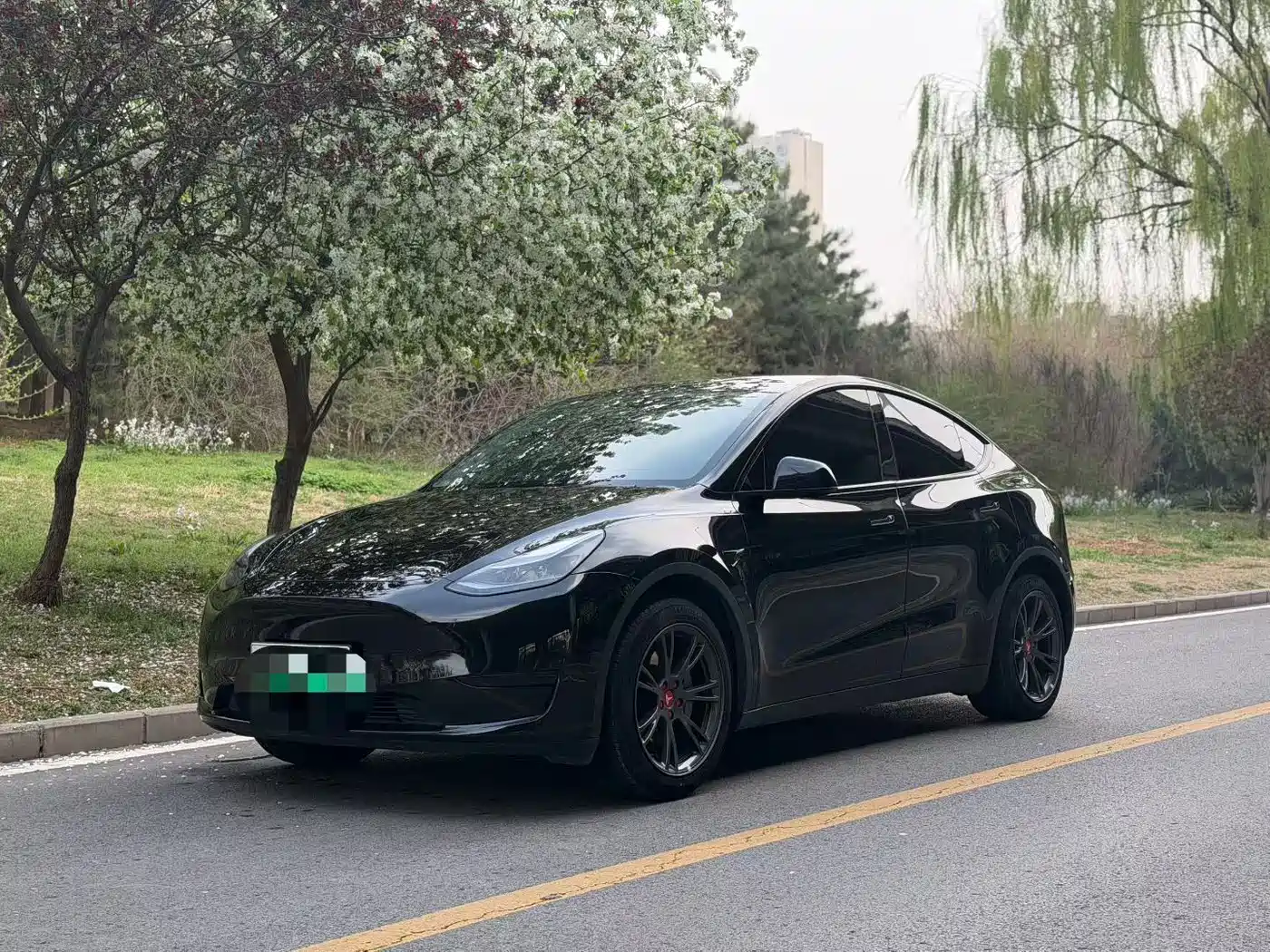 TESLA MODEL Y