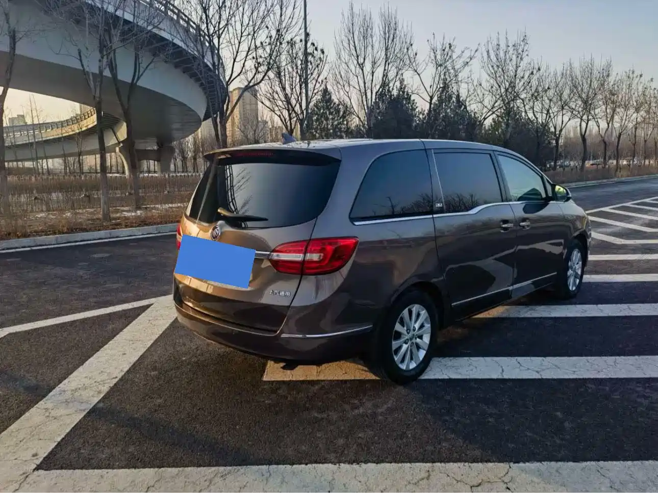 Buick GL8 2014 2.4L LT Luxury Business Executive фото 5
