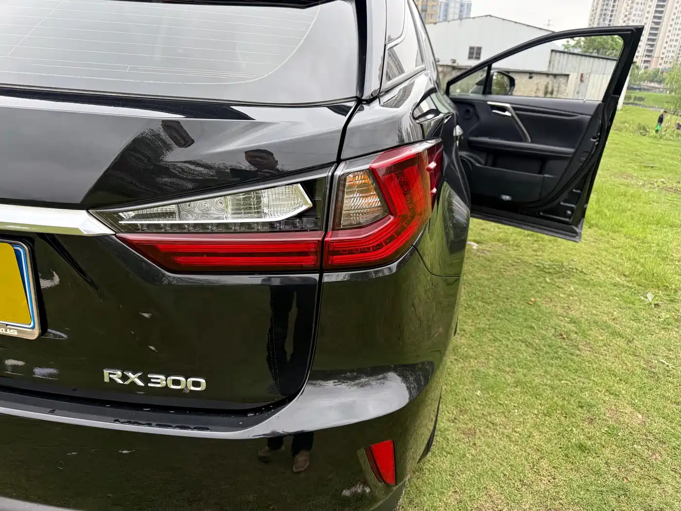 Lexus RX 2016 300 2WD Elite Edition (China V) фото 16