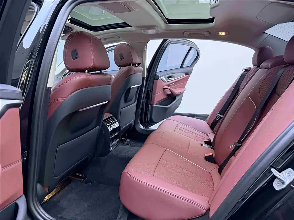 BMW 5 Series 2021 530Li Leading Luxury Package фото 9