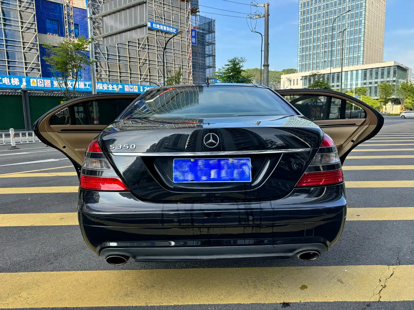 Mercedes-Benz S-Class 2010 S 350 L Luxury фото 6