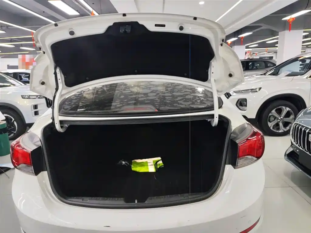 Hyundai Langdong 2016 1.6L Automatic Premium Edition фото 19