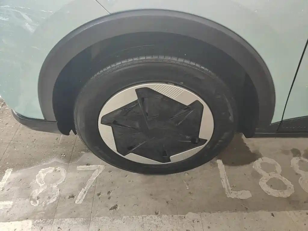 Geely Geometry E Firefly 2024 2024 Model 301km Starlight