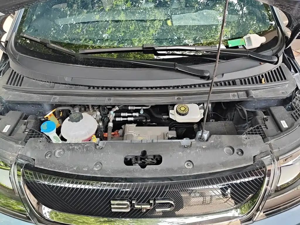 BYD Dolphin 2026 2025 420km Freedom Edition