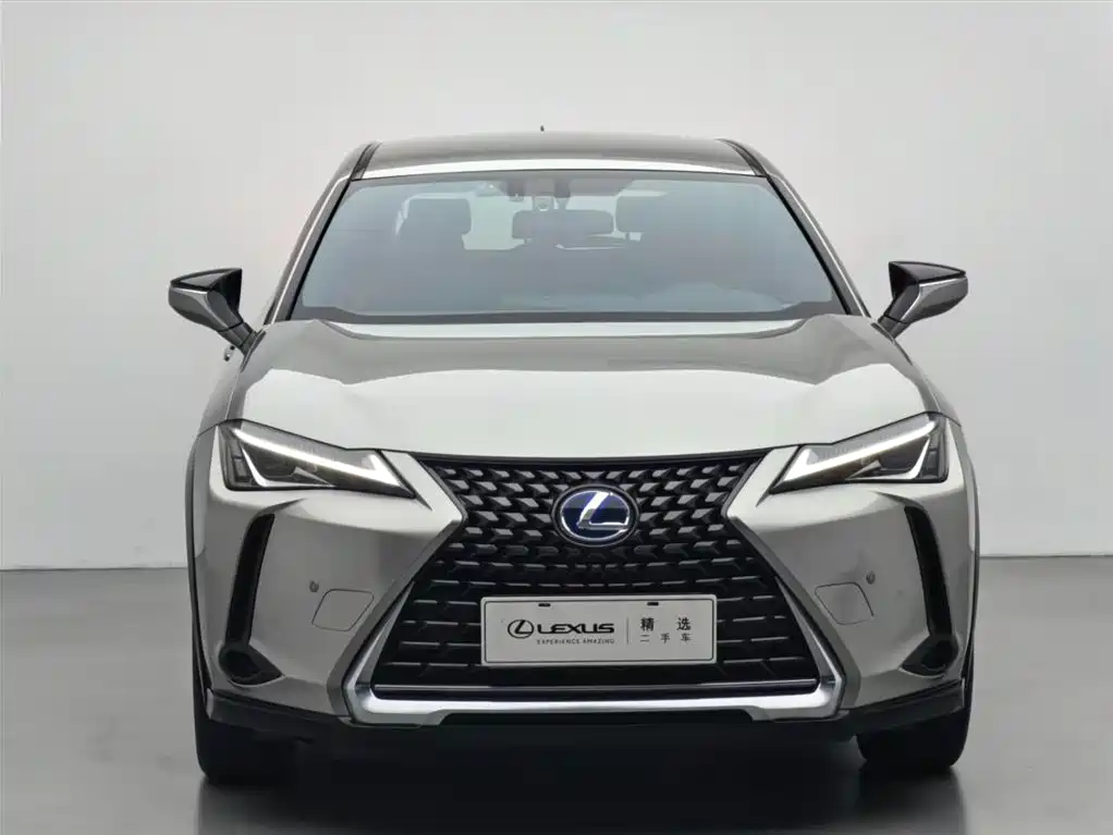 Lexus UX 2020 260h Explore Cool Edition фото 2