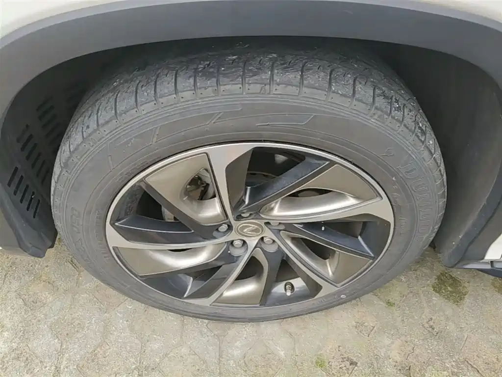 Lexus RX 2016 300 4WD Elegance Edition (China V) фото 23