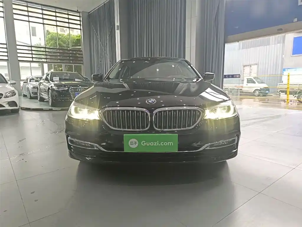 BMW 5 Series 2018 525Li Luxury Package фото 3
