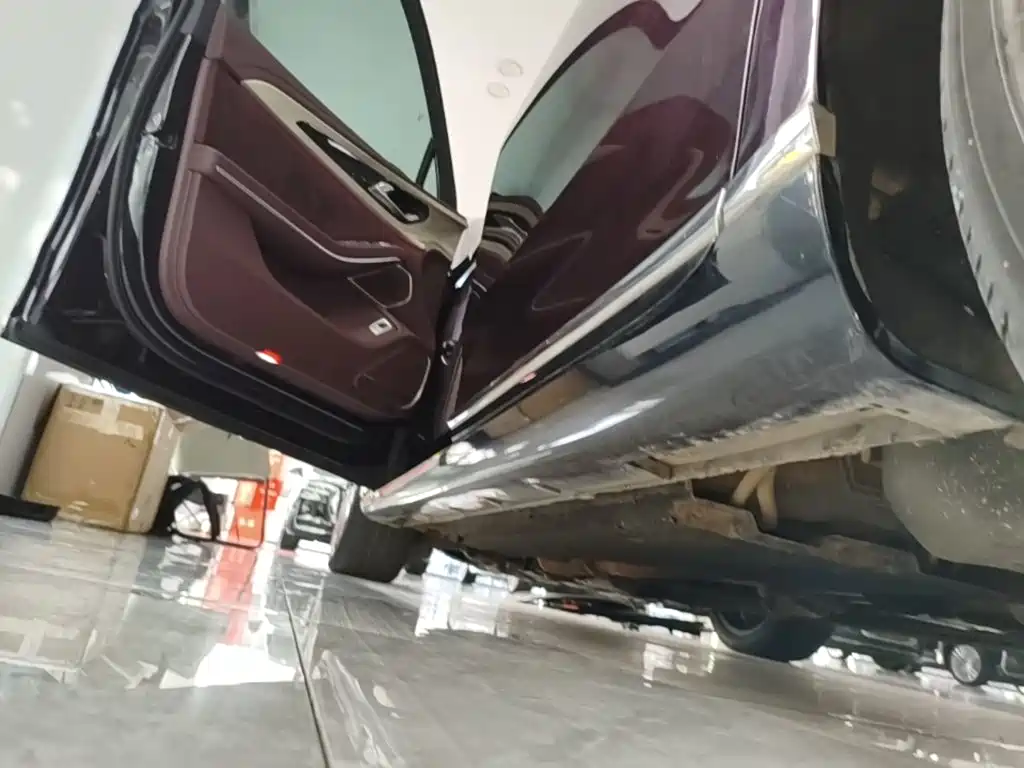 Фото 22 - Hongqi H9