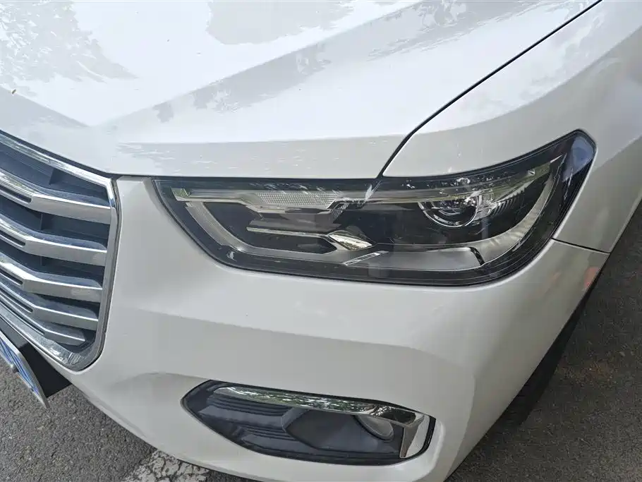 Haval H4 2018 Red Label 1.5GDIT DCT Trend Edition фото 5
