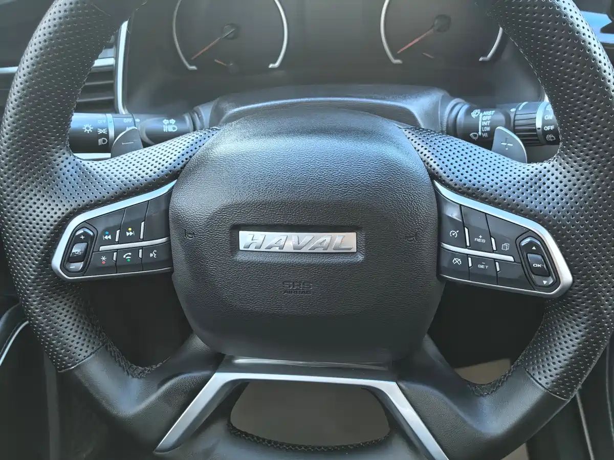 Haval H6 2021 National Trend Edition 1.5T Automatic Urban Edition фото 13