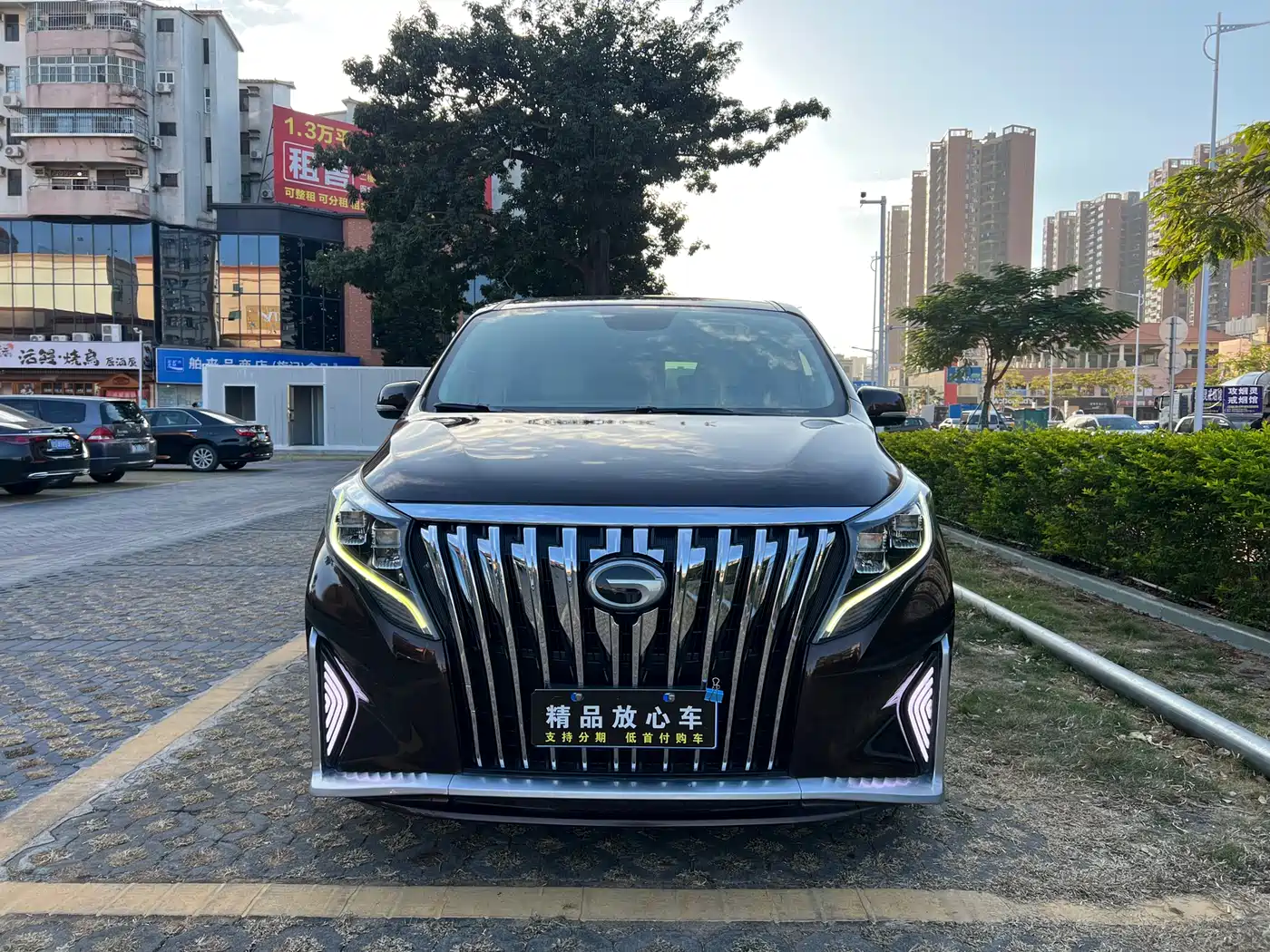 GAC Trumpchi Trumpchi M8 2018 320T Premium Edition фото 2