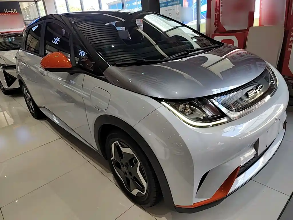 BYD Dolphin 2021 2021 Model 405km Fashion Edition