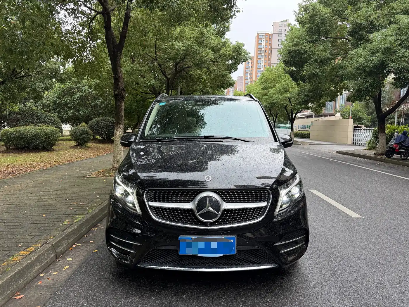 Mercedes-Benz V-Class 2024 2022 V 260 L Long Wheelbase Luxury Edition