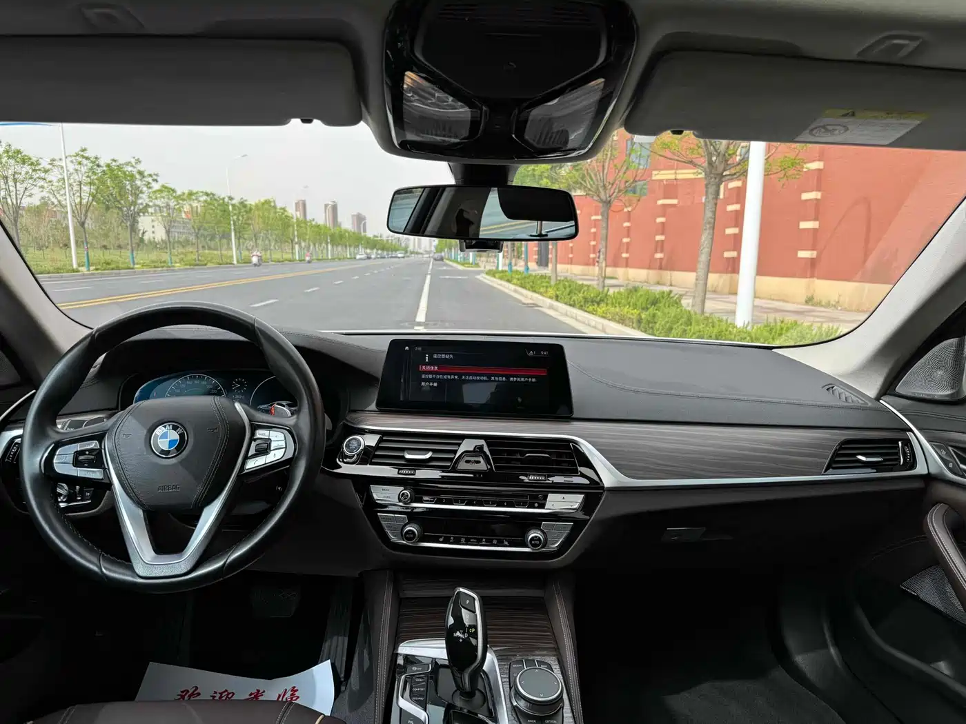 BMW 5 Series 2019 530Li Leading Luxury Package фото 6