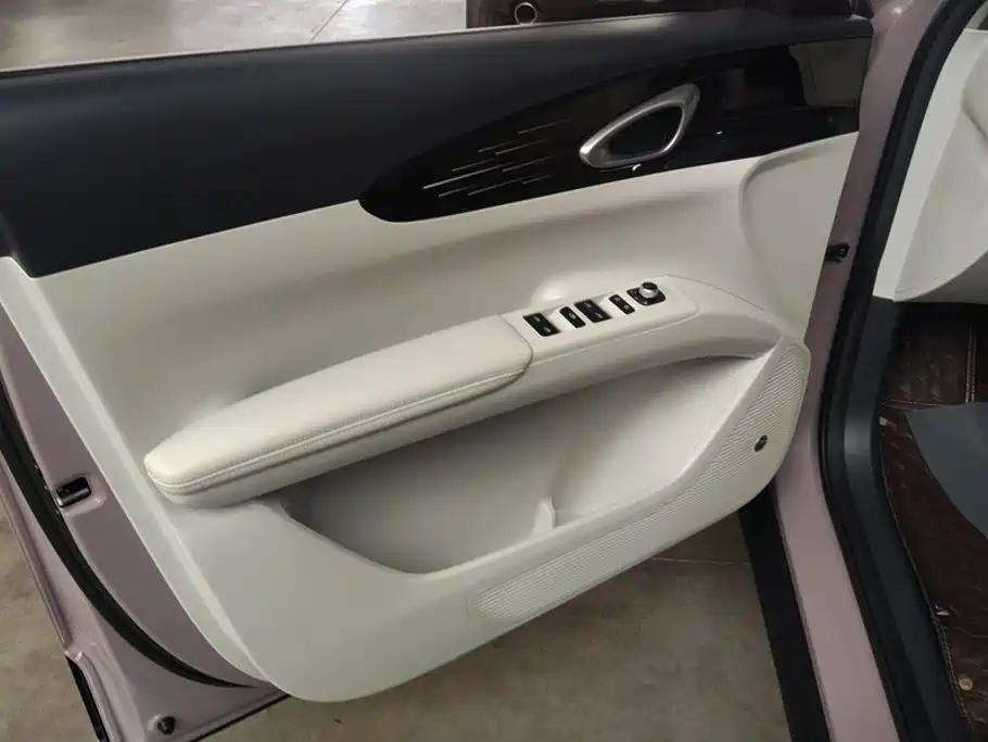 Geely Galaxy Starry Wish 2025 2025 310km Dream Edition
