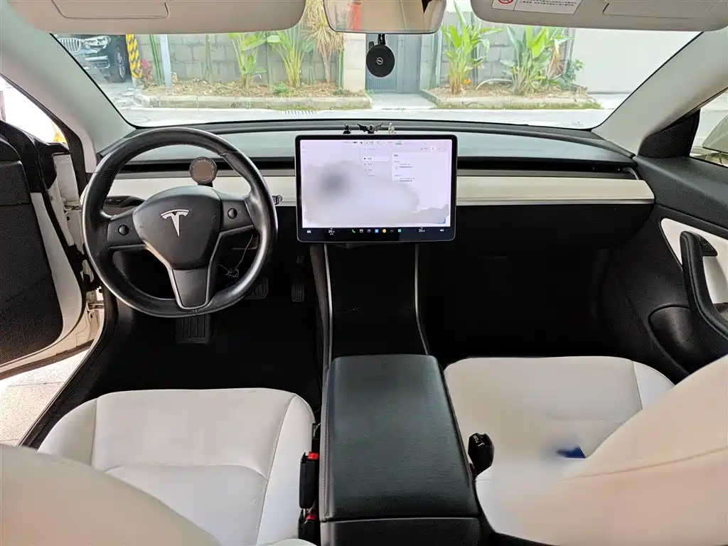 TESLA MODEL 3 (IMPORTED)