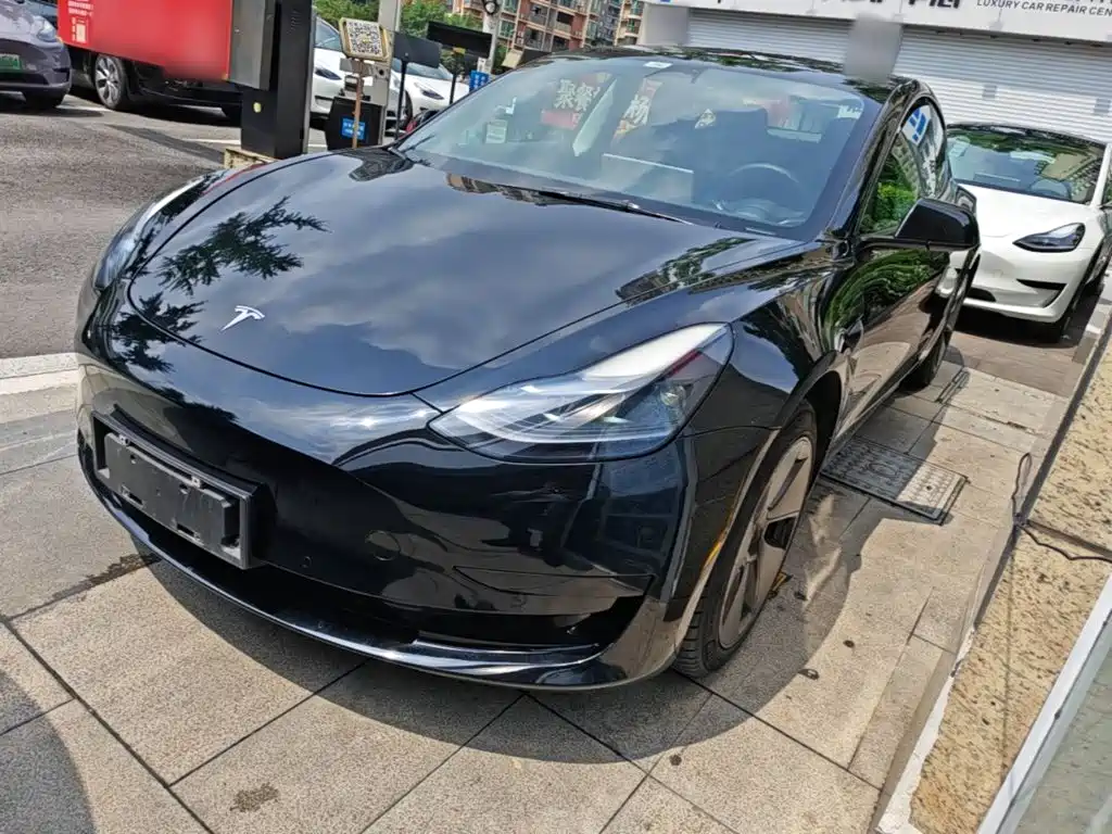 Tesla Model 3 2022 Model Rear-Wheel Drive Version
