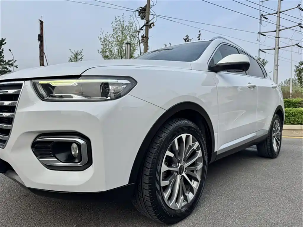 Haval H6 2020 1.5GDIT Automatic Platinum Champion Edition фото 20