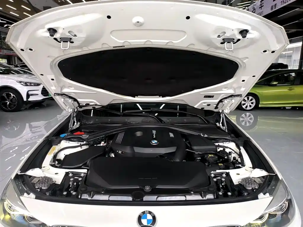 BMW 3 Series GT 2019 320i Fashion Model фото 20