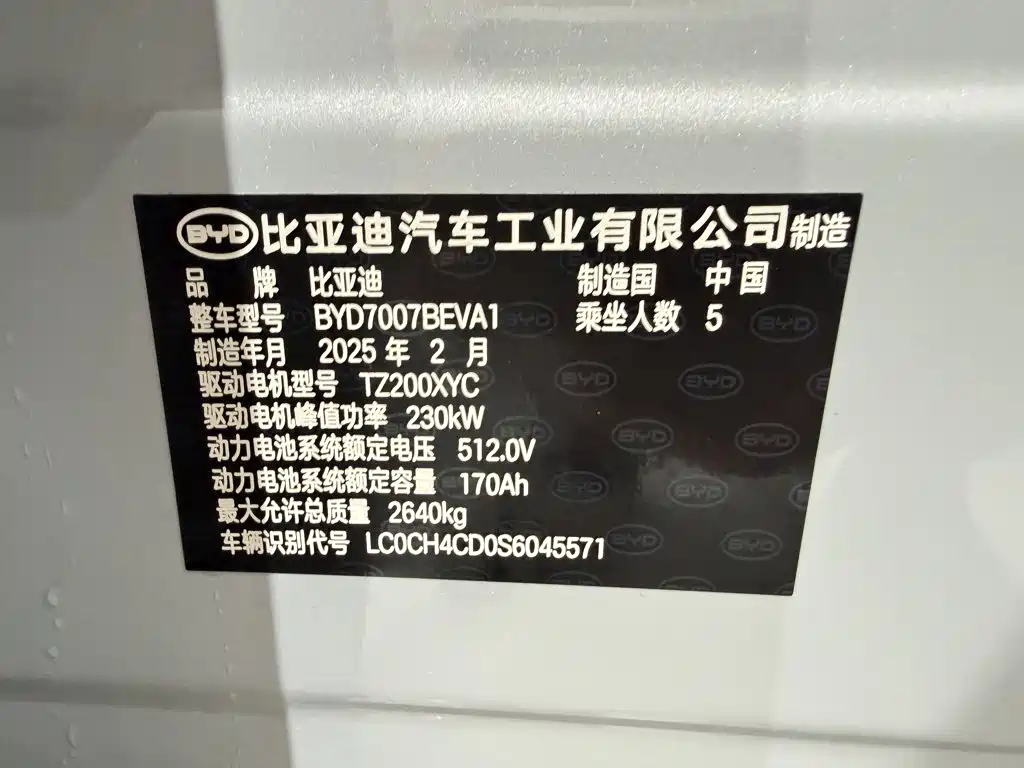 BYD Song L EV 2025 2025 Smart Drive Edition 662km Surpassing Type