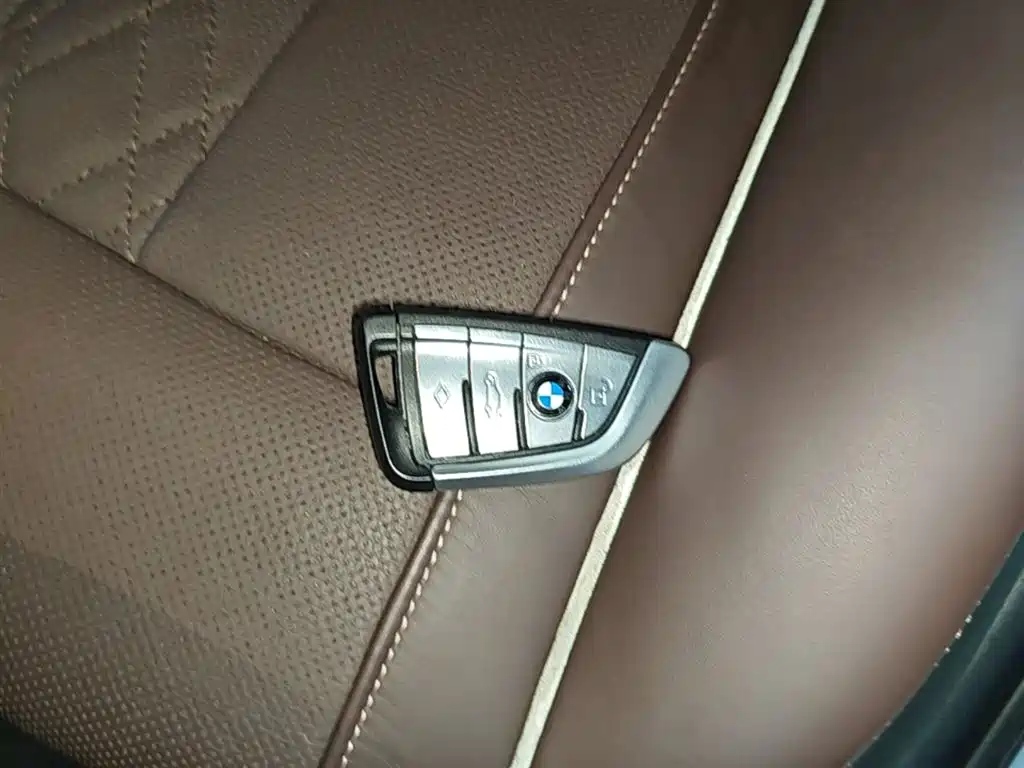 BMW 5 Series New Energy 2019 530Le Luxury Package фото 20