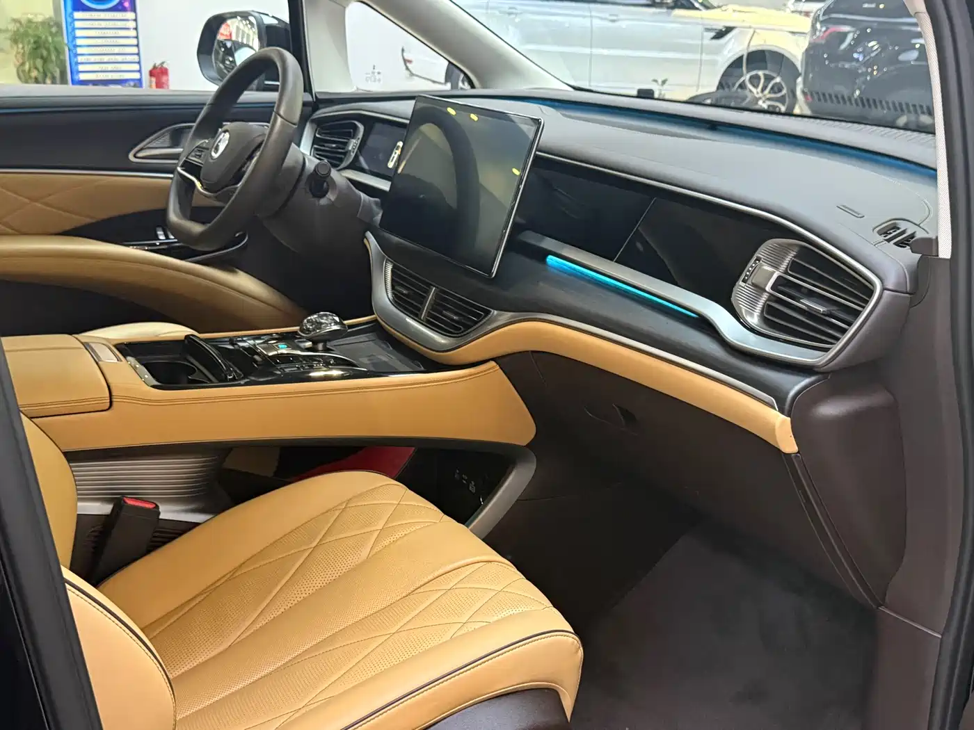 Denza D9 2024 DM-i 980 AWD Premium фото 7