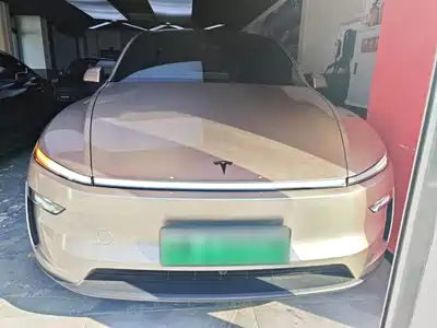 Tesla Model Y L